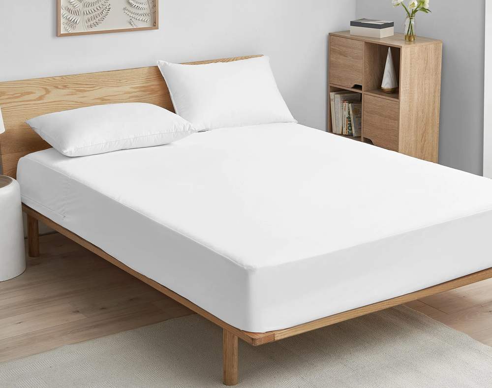 sleepsafe premium anti bed bug mattress protector review